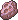 Mollusk