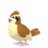 Pidgey