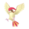 Pidgeotto