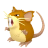 Raticate