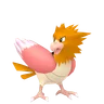 Spearow