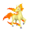 Rapidash